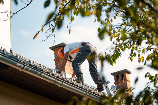 Best Gutter Installation and Roofing  in Fostoria, OH