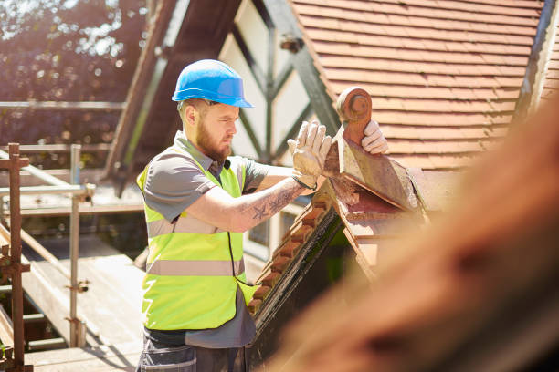 Best Roof Gutter Cleaning  in Fostoria, OH